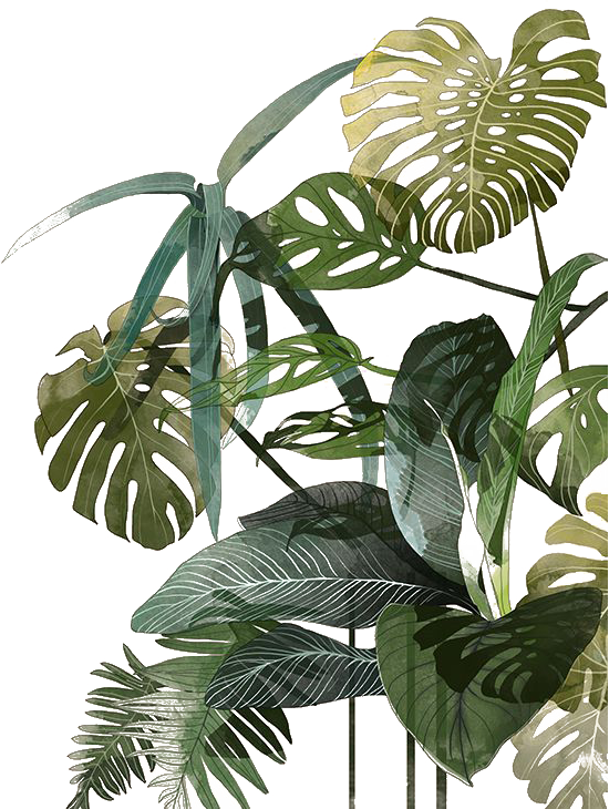 Botanical Decorative Plants